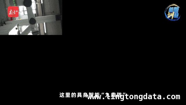 深圳宝安：具身智能“九鼎阵”，引领智造新潮流