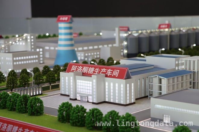 肥城经济崛起：数据亮眼，多领域发展成果丰硕，肥城经济腾飞：产业创新与营商优化齐头并进