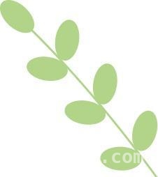 2025上海樱花节，开启春日浪漫赏樱盛宴！，2025上海樱花节，持赏樱护照开启惠游宝山之旅