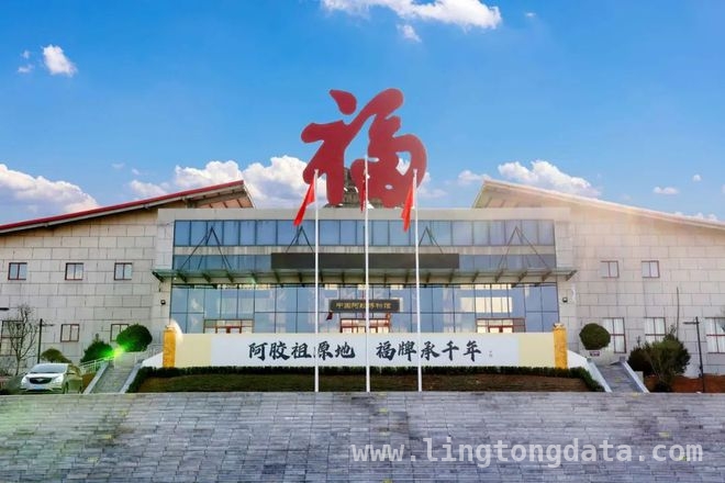 福牌阿胶2025：聚焦增长，让中国福走向世界 福牌阿胶：从传统到现代，引领滋补新潮流