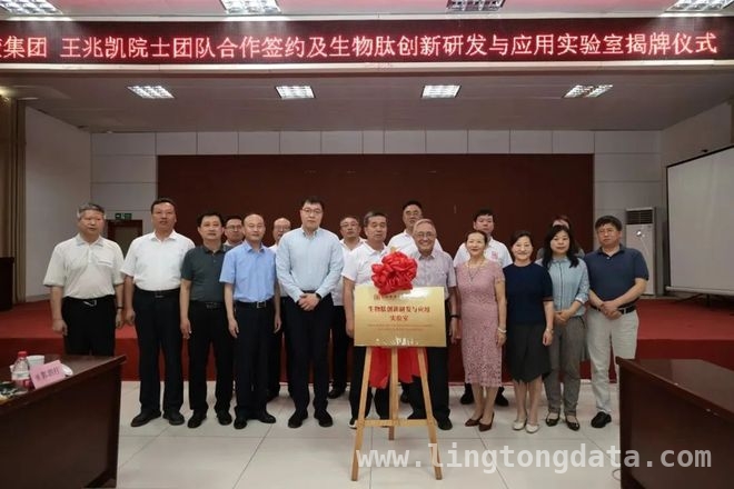 福牌阿胶2025：聚焦增长，让中国福走向世界 福牌阿胶：从传统到现代，引领滋补新潮流