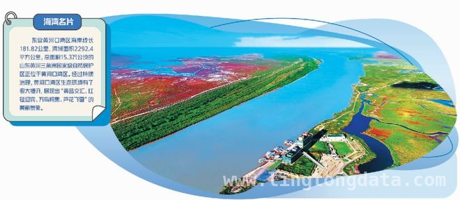 山东东营黄河口湾区：生态与经济共舞的美丽乐章