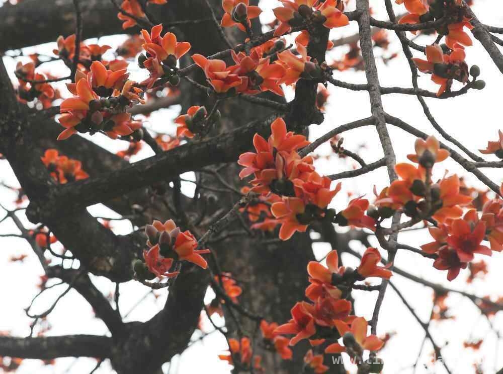 2025年3月新闻盛宴：广东亮点与全球动态齐呈现 2025年3月广东新事多，国际新闻也精彩