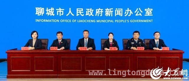 聊城法院2024：多管齐下推进平安聊城、法治聊城建设