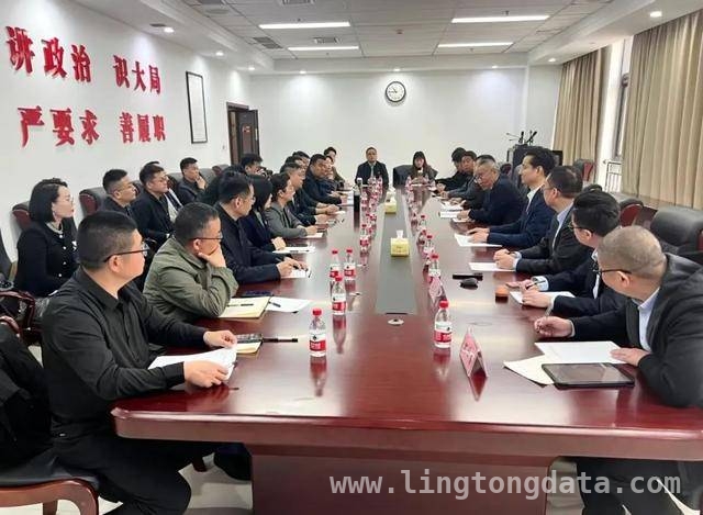 聚焦民建河南青委会议，“两会精神”引领青年新征程 从两会到实践：民建河南青年委为河南发展添砖加瓦