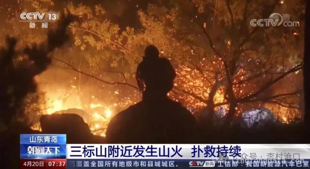 崂山高火险期带火种进山被罚款，森林防火刻不容缓！