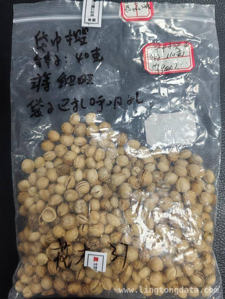 “樱花疯子”的太空樱花梦，你期待吗？，太空樱花来袭，武汉赏花新期待！