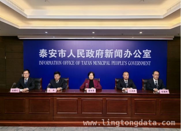 泰安工业发展势头强劲，2024年成绩斐然，2024泰安工业亮点纷呈，多领域实现突破式发展