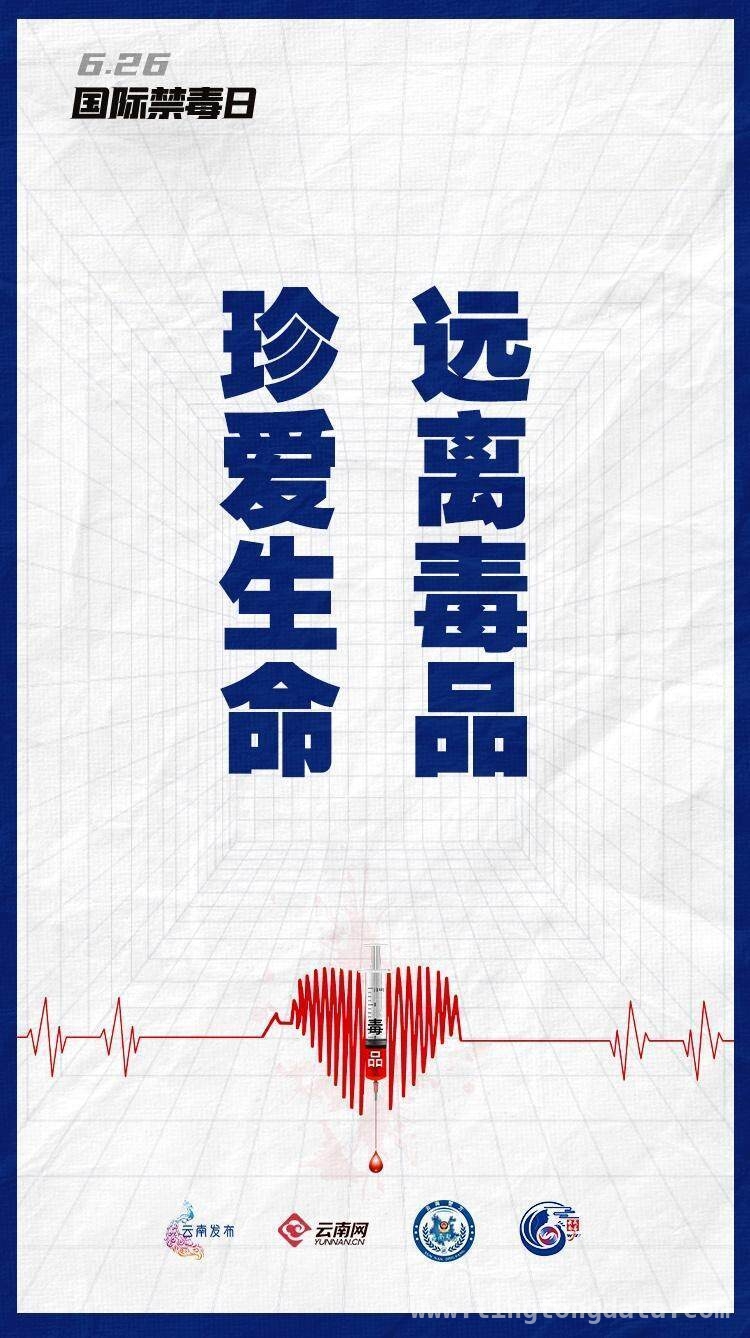 婚礼“份子钱”竟是冰毒，警方破获涉毒大案 四川荥经涉毒案：婚礼成毒品交易闹剧