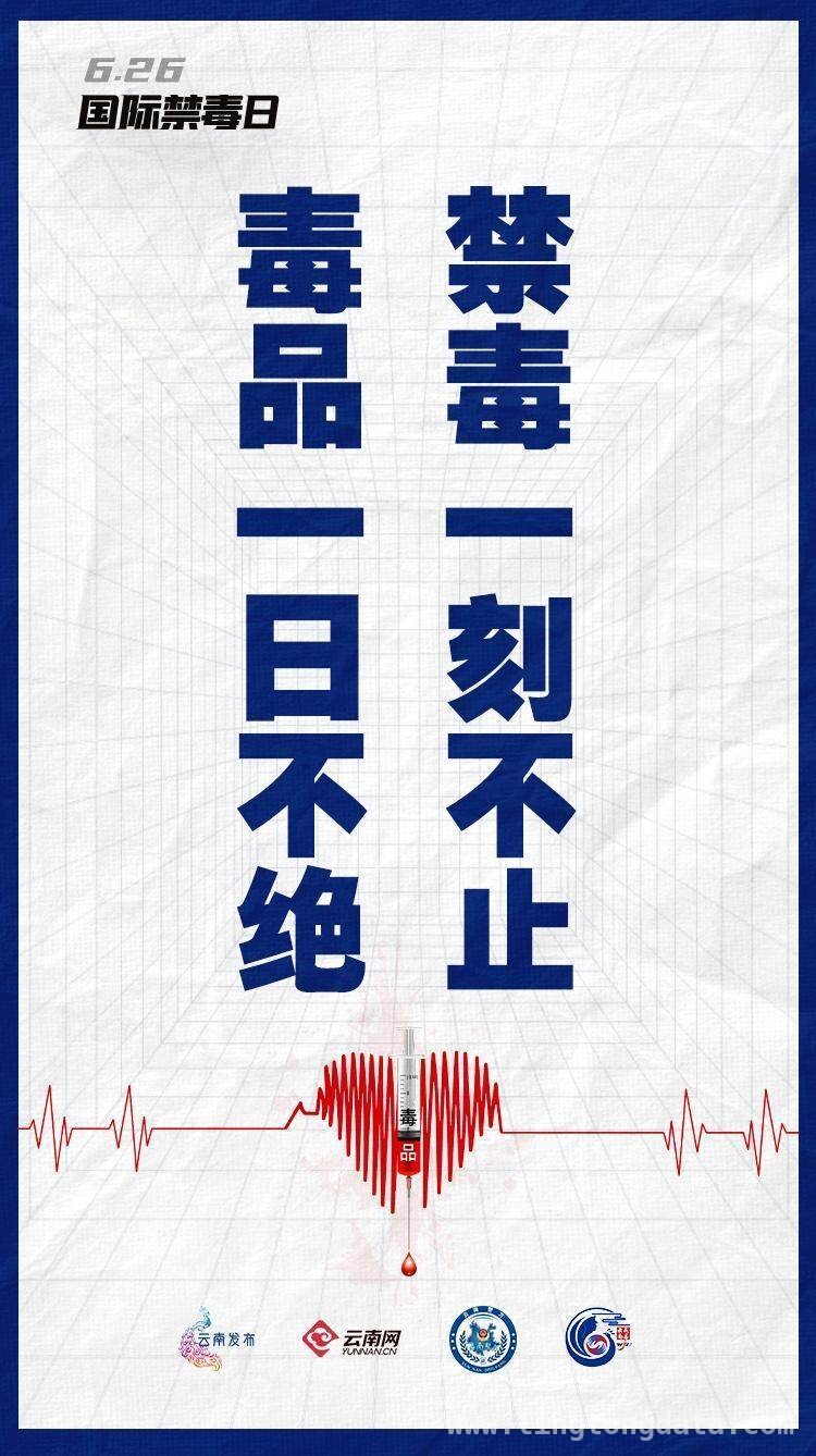 婚礼“份子钱”竟是冰毒，警方破获涉毒大案 四川荥经涉毒案：婚礼成毒品交易闹剧