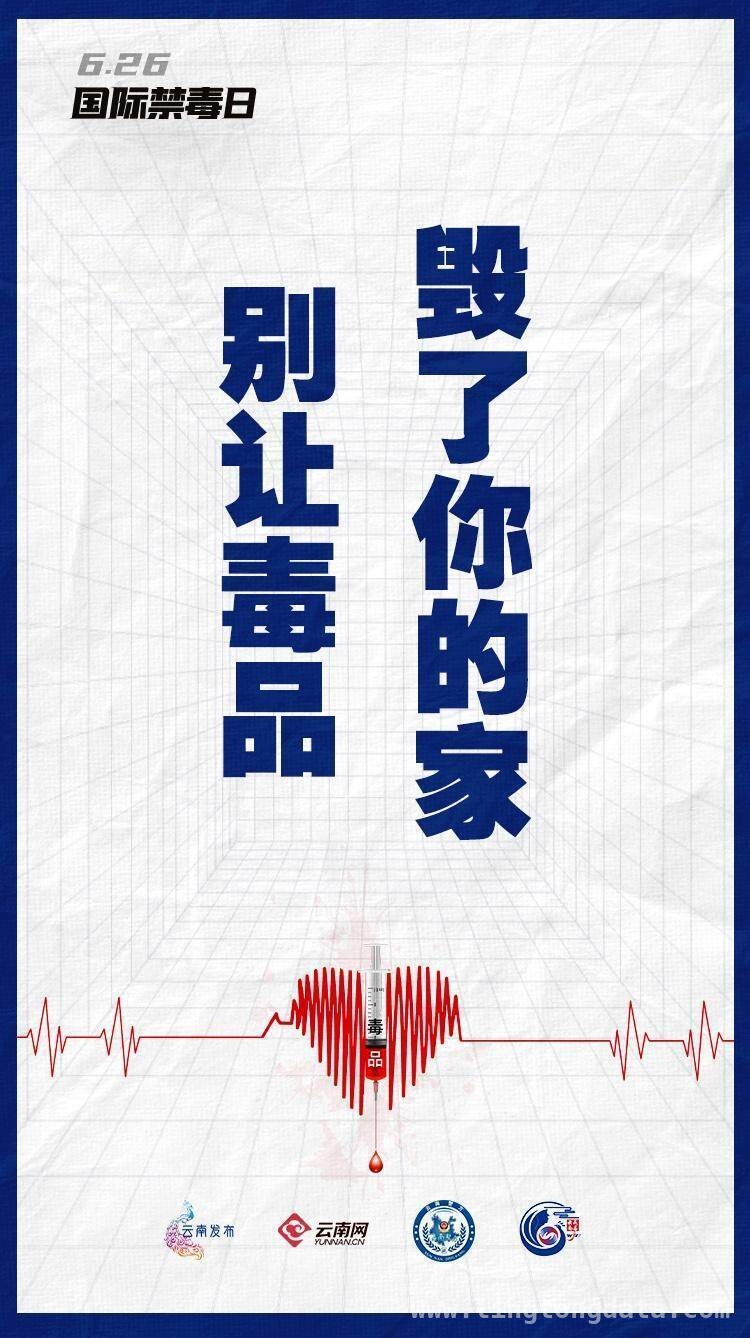 婚礼“份子钱”竟是冰毒，警方破获涉毒大案 四川荥经涉毒案：婚礼成毒品交易闹剧