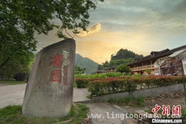 阿联酋华侨祖宅变身民宿，龙泉侨务助力乡村振兴谱新篇，春日龙泉，侨务赋能乡村，开启共富新征程