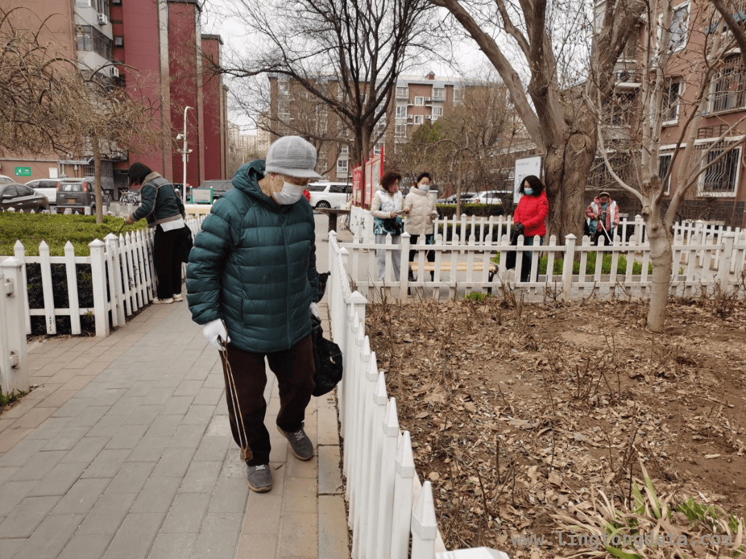 加入运河“捡跑”，开启有意义的运动之旅，梨园镇“捡跑”活动：让运动为环保助力