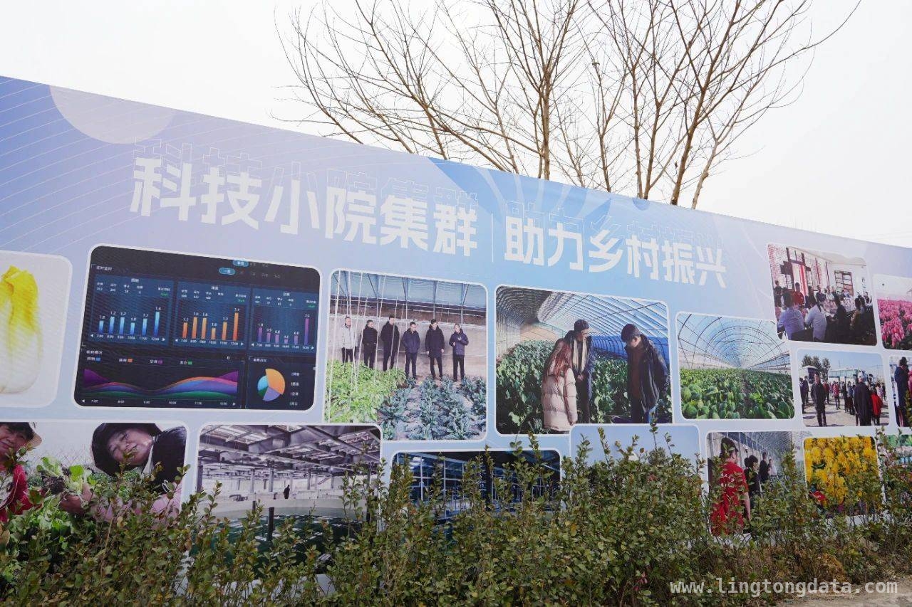 北京首家科技小院集群亮相通州，开启乡村振兴新篇章，科技赋能，通州“北京科技小院”绘就乡村振兴新画卷