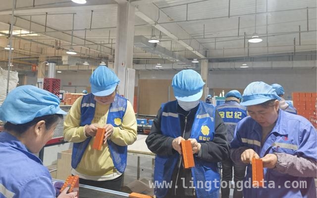 青铜峡市总工会：为下岗失业职工铺就就业坦途，青铜峡工会“1+N”模式，让下岗职工重燃就业希望