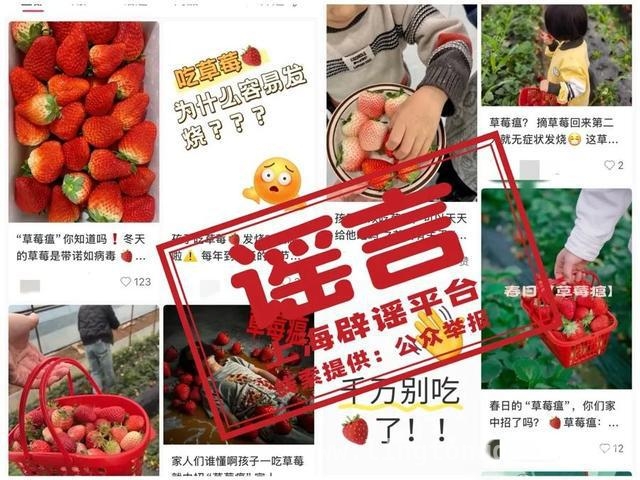 吃草莓染病？真相大揭秘！ “草莓瘟”传闻背后：诺如病毒与草莓的那些事儿