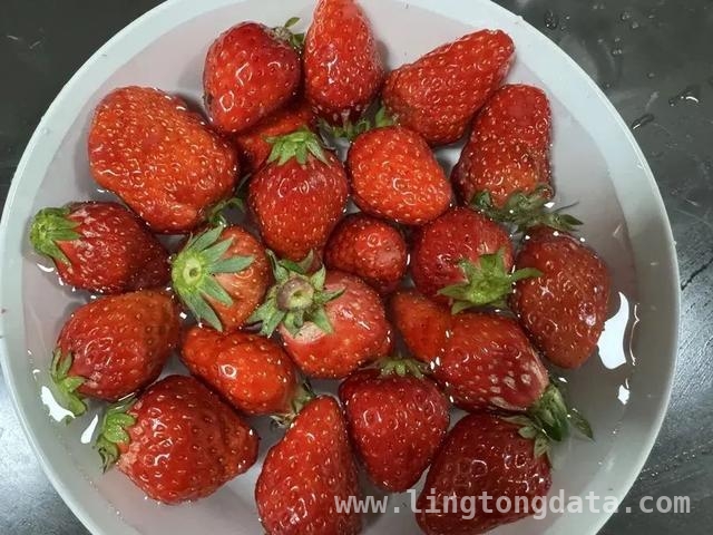 吃草莓染病？真相大揭秘！ “草莓瘟”传闻背后：诺如病毒与草莓的那些事儿