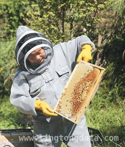 林下掘金：多地特色产业助力乡村振兴，林下经济：各地探索生态与经济双赢之路