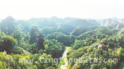 林下掘金：多地特色产业助力乡村振兴，林下经济：各地探索生态与经济双赢之路