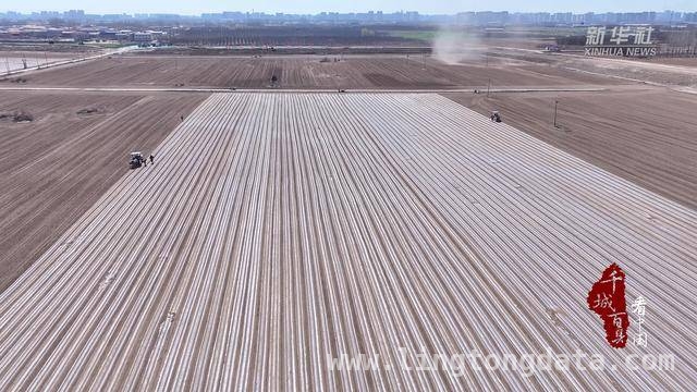 15000亩规模！徐水鲜食玉米春播引领产业新周期 徐水鲜食玉米春播，绿色种植模式助力产业升级