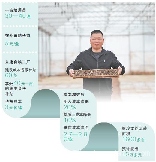 春耕育秧工厂：从成本困境到效益腾飞之路 湖南育秧工厂：突破成本枷锁，拥抱效益春天