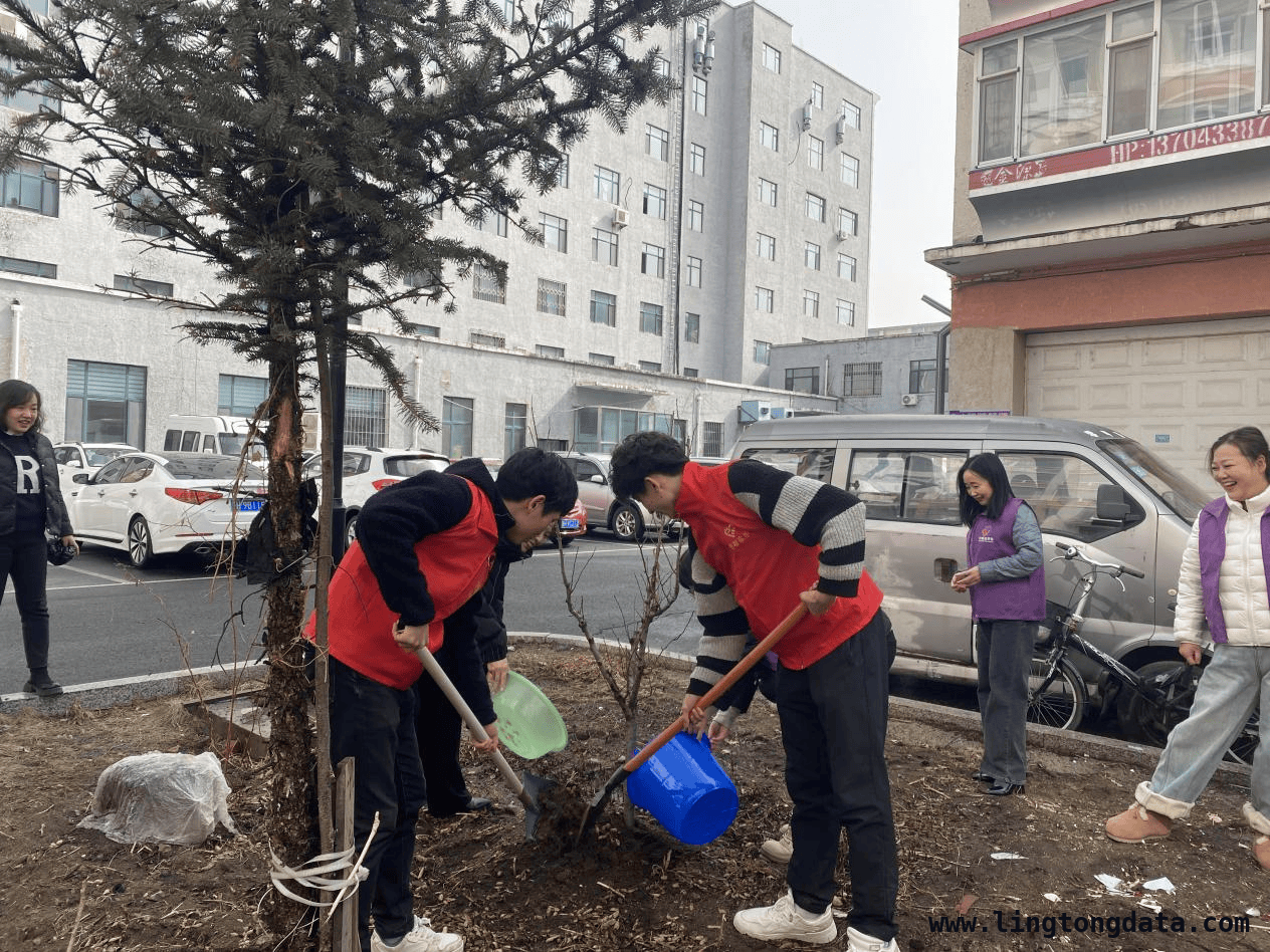 春雨中，安图安北社区志愿者掀起植树热潮