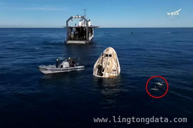 286天星际“漂泊”，宇航员成功着陆佛罗里达 太空滞留286天，宇航员平安重返地球家园