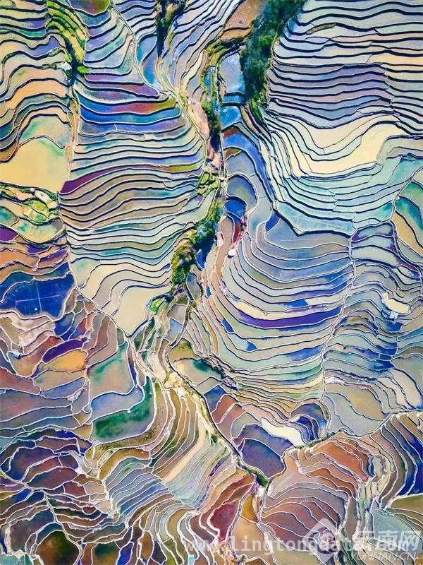 探秘哈尼梯田，感受自然与人文的和谐共生之美