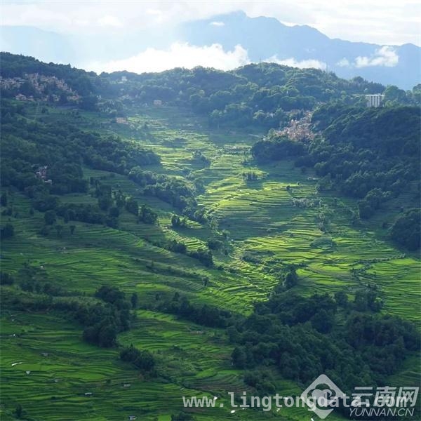 探秘哈尼梯田，感受自然与人文的和谐共生之美