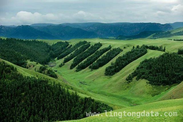 张掖地质公园研学游：融合科普与文化的精彩之行，从地质到民俗，张掖世界地质公园研学线路大揭秘