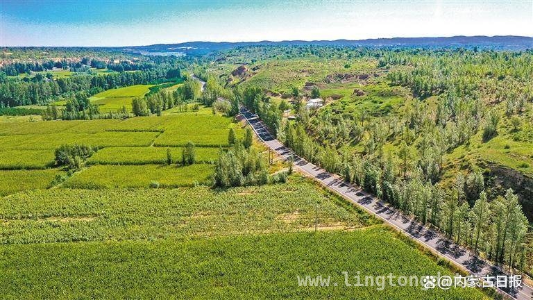 内蒙古公路发展：穿越时空，连接幸福，内蒙古公路：畅行之路，振兴之脉