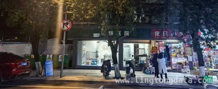 宠物看病难背后：医疗乱象与监管缺失