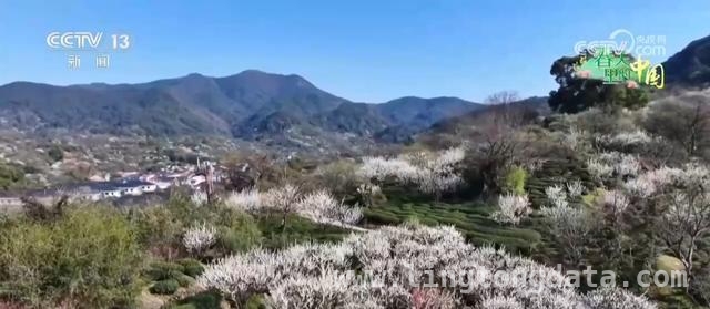 浙江萧山与江西萍乡：春日花海的别样魅力，解锁春日经济，共赴花的盛宴