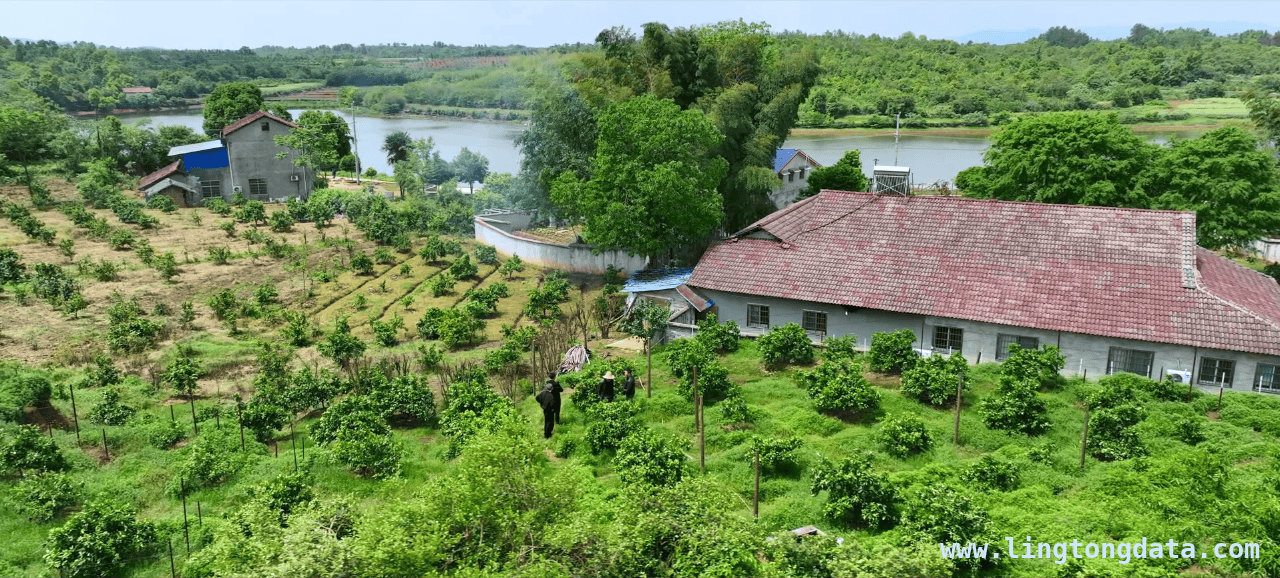 湖南十村蹲点记：基层减负赋能开启乡村治理新篇，跳出怪圈，湖南基层减负赋能为乡村发展“松绑”前行