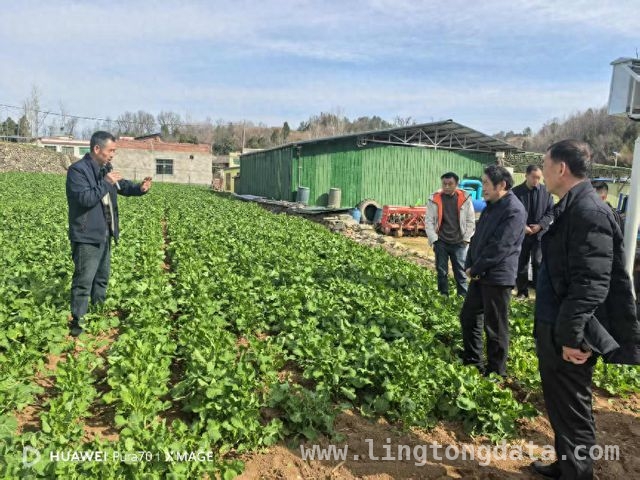 试马镇粮油培训现场热闹非凡，农户信心满满迎丰收