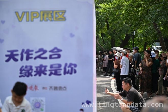 春日浪漫之约：千佛山相亲大会等你来寻爱 2025千佛山相亲大会：邂逅春日心动良缘