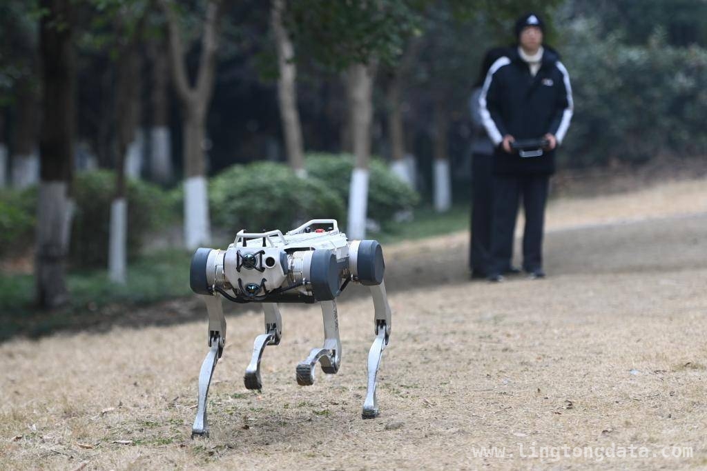 2025中国经济开局：多领域增长彰显强大韧性，2025开年中国经济亮点频现，发展态势一片向好