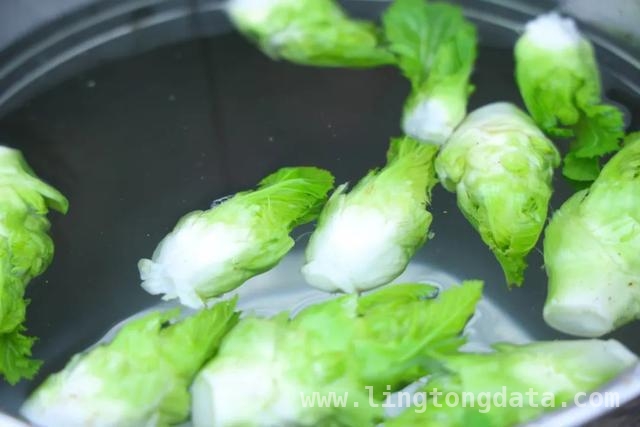 儿菜登场，开启春日美食新体验，春日尝鲜，儿菜吃法大揭秘