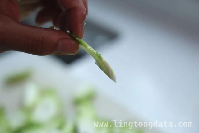 儿菜登场，开启春日美食新体验，春日尝鲜，儿菜吃法大揭秘
