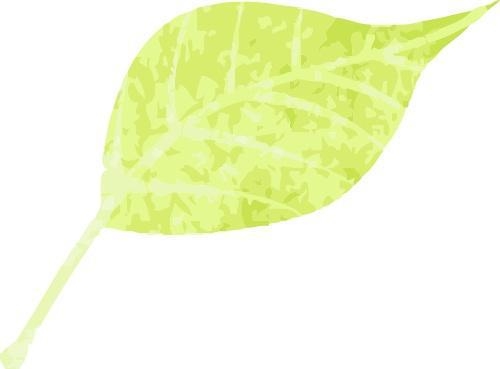 儿菜登场，开启春日美食新体验，春日尝鲜，儿菜吃法大揭秘