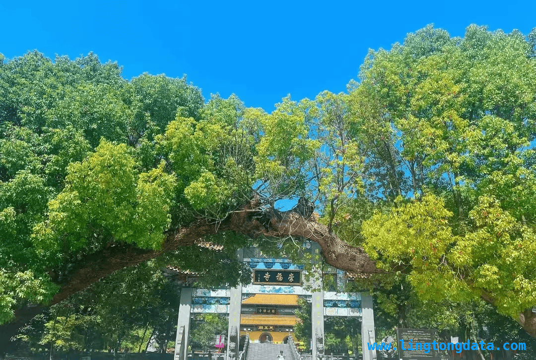 3月25日杭州世预赛，众多景区优惠邀球迷共赴狂欢！，中国男足VS澳大利亚激战在即，杭州文旅优惠大放送！