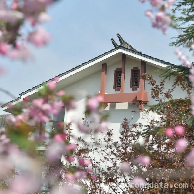 上海花园酒店大揭秘，带你领略春天的慢生活，漫步上海花园酒店，感受春日浪漫与历史韵味