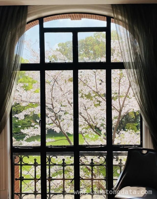 上海花园酒店大揭秘，带你领略春天的慢生活，漫步上海花园酒店，感受春日浪漫与历史韵味