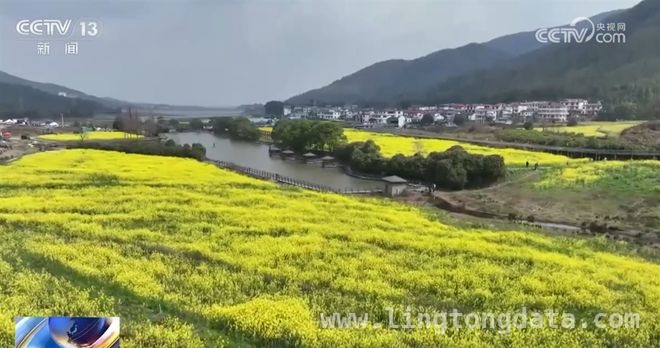 邂逅春日花海，遂宁桃花、南昌油菜、广东荔枝花等你来赏
