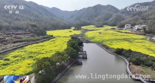 邂逅春日花海，遂宁桃花、南昌油菜、广东荔枝花等你来赏