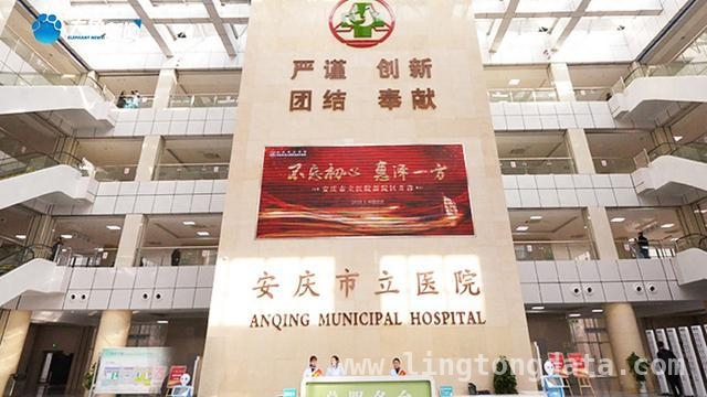 安庆市立医院拔牙事故：女子坠楼谁买单？，安庆市立医院拔错牙风波：女子坠亡背后的医疗责任