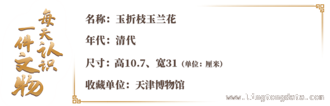 5. 赏玉兰花，品中式美学：全国文物古迹打卡攻略