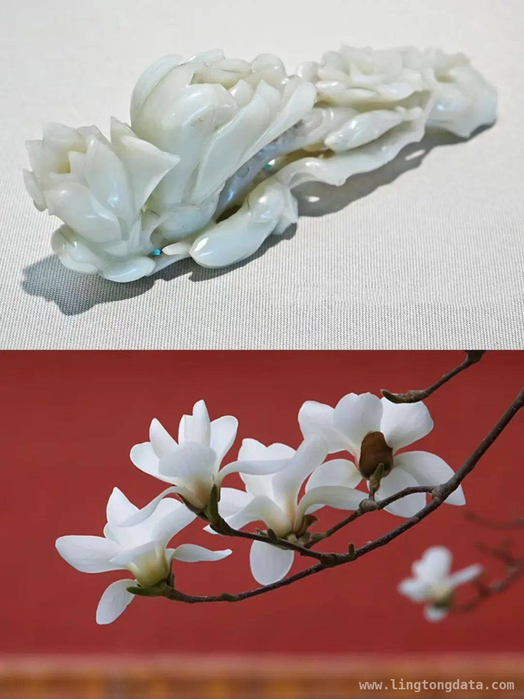 5. 赏玉兰花，品中式美学：全国文物古迹打卡攻略