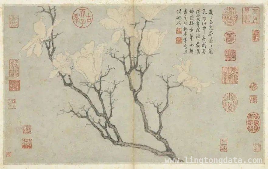 5. 赏玉兰花，品中式美学：全国文物古迹打卡攻略