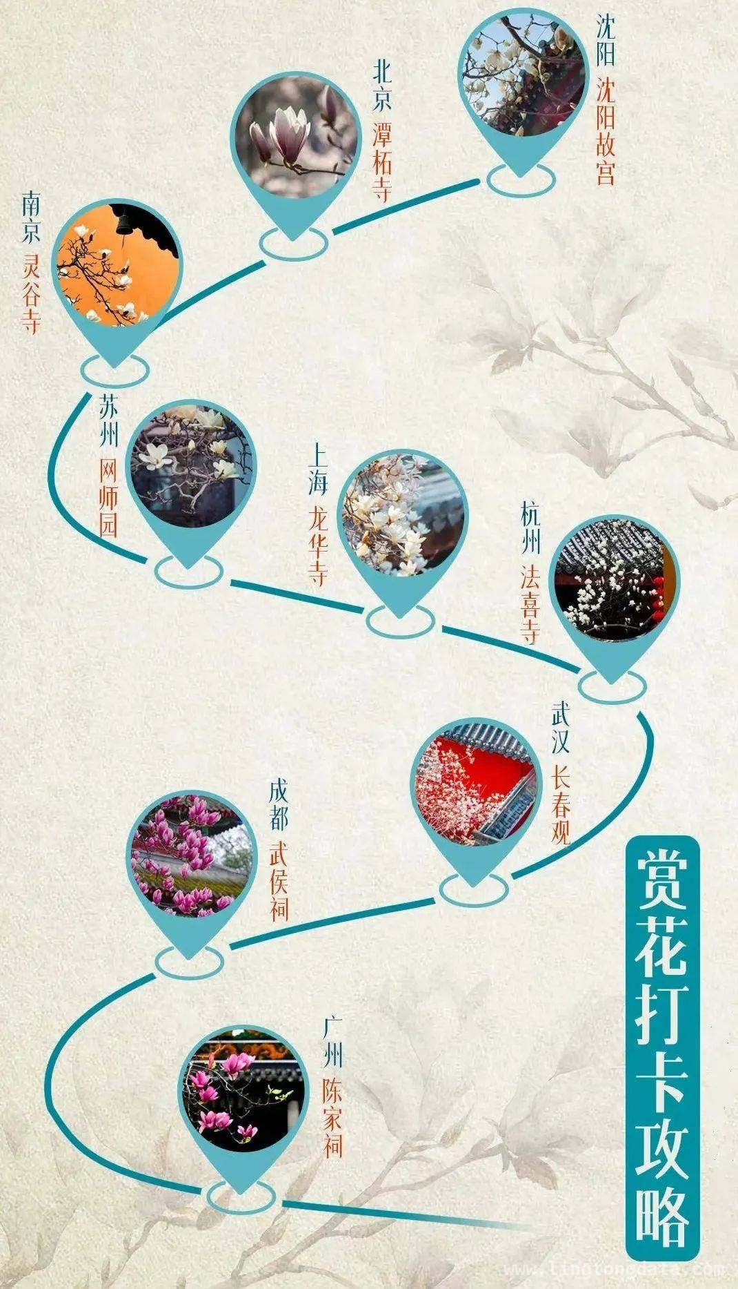 5. 赏玉兰花，品中式美学：全国文物古迹打卡攻略
